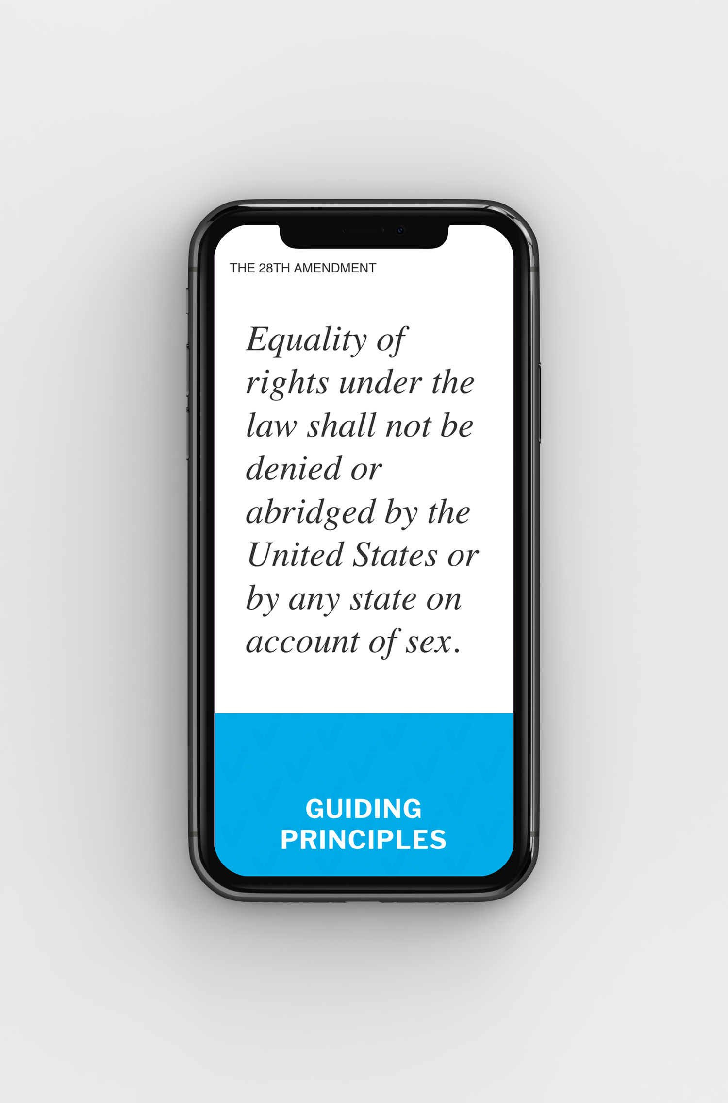 Vote Equality Website iPhone homepage