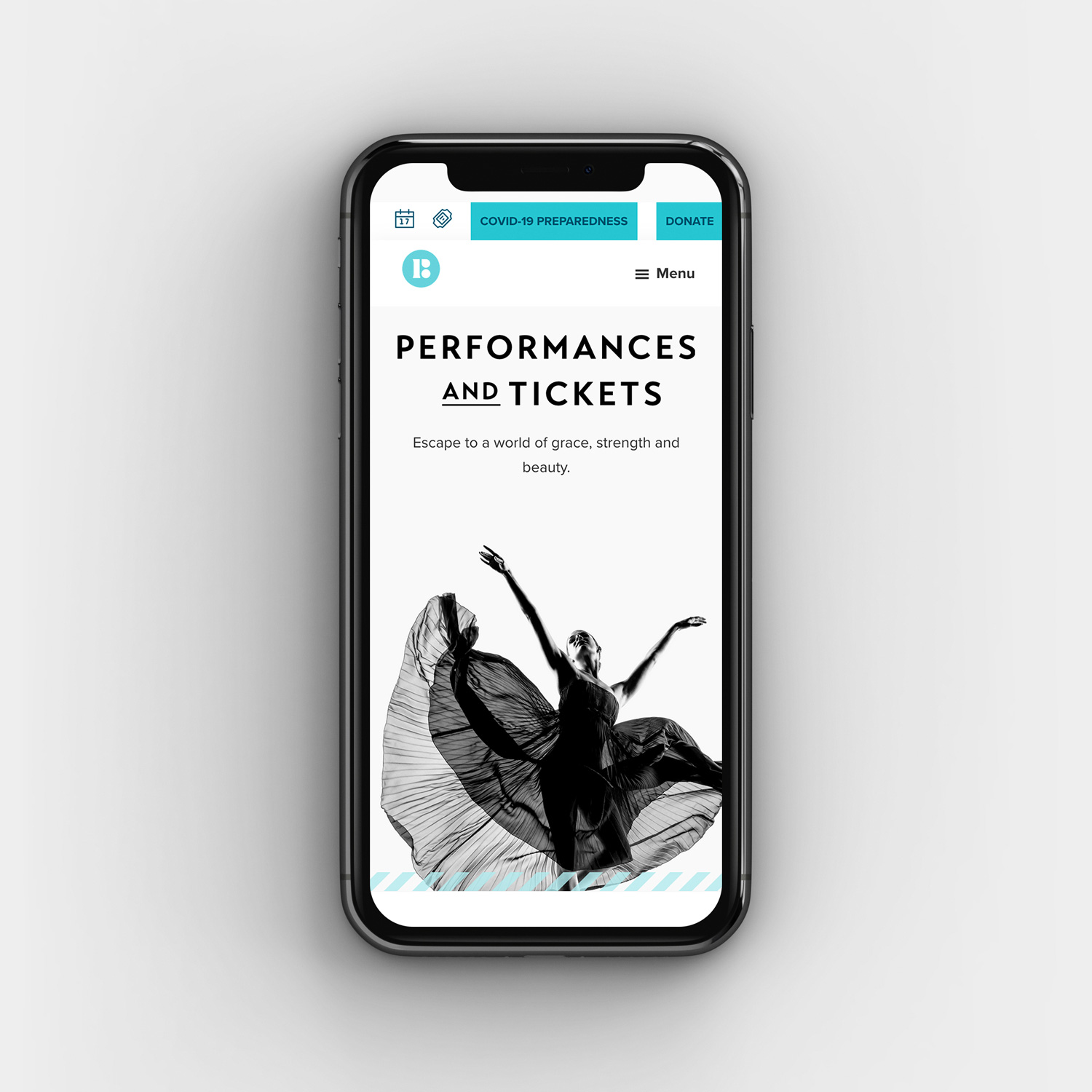 Performance page on iPhone