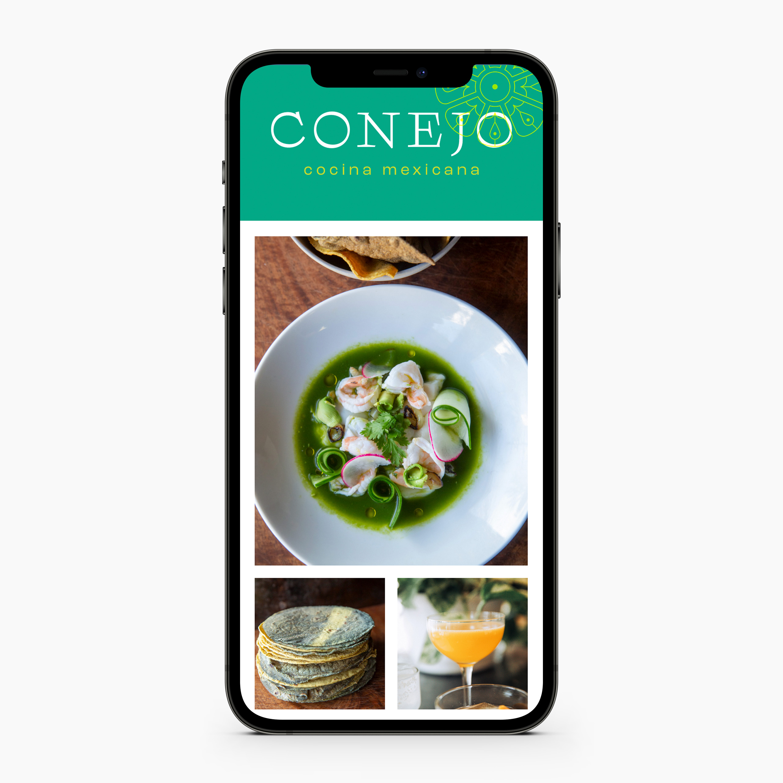 Conejo website on mobile