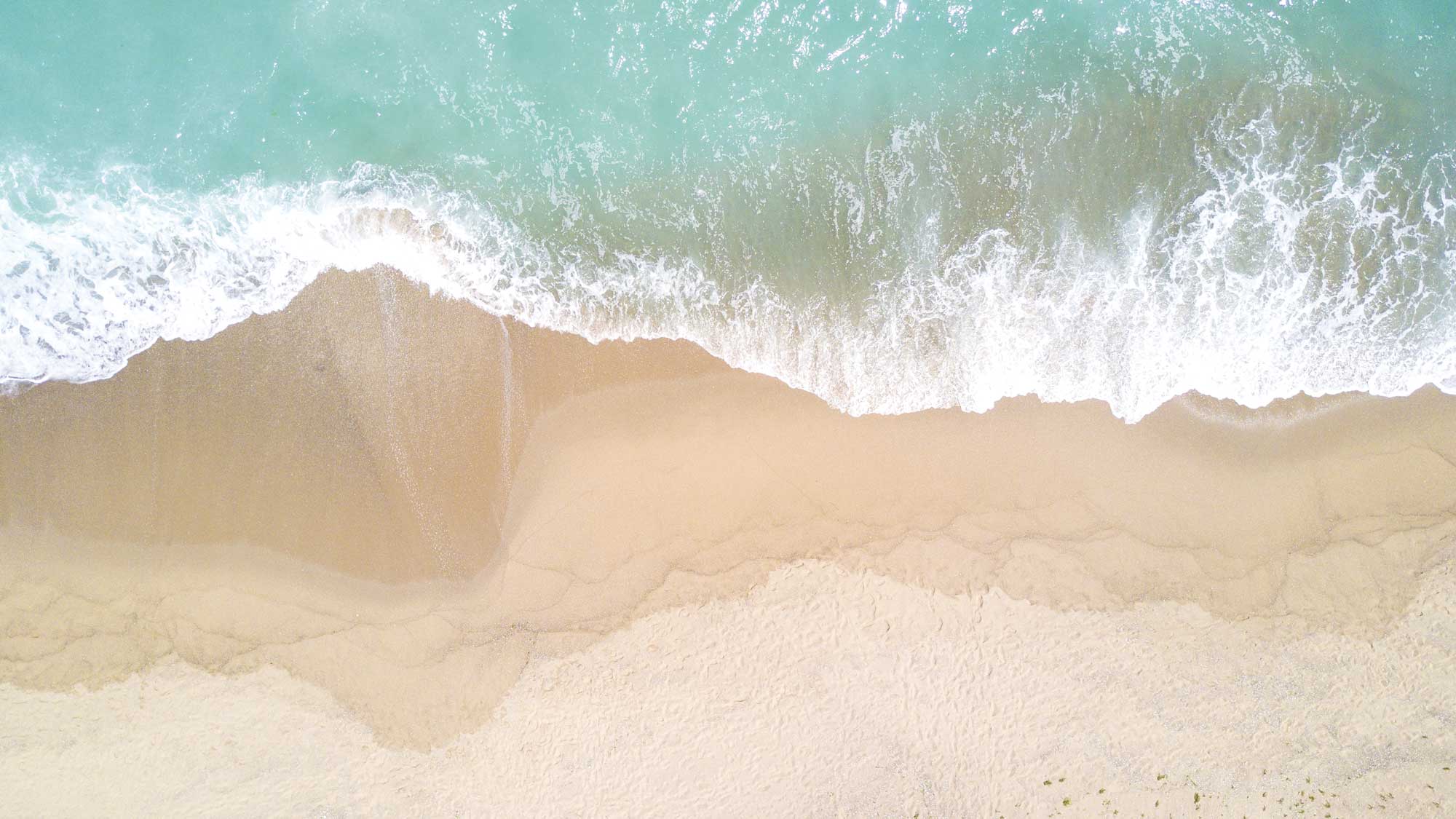 drone shot of ocean and beach