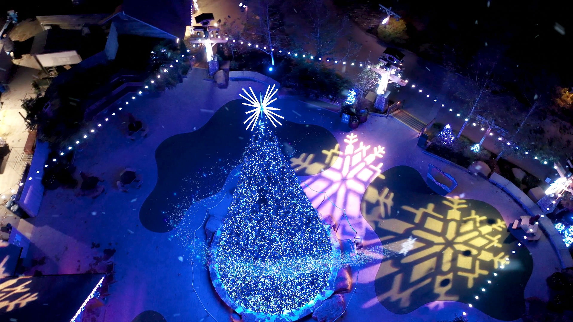 Snowflake flying around outdoor Christmas tree